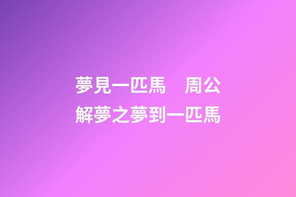 夢見一匹馬　周公解夢之夢到一匹馬